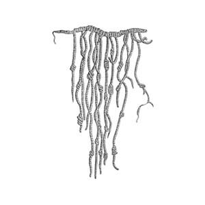 quipu